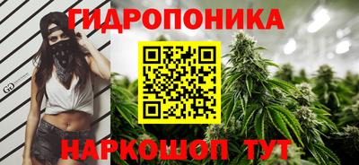 МДМА Камышлов